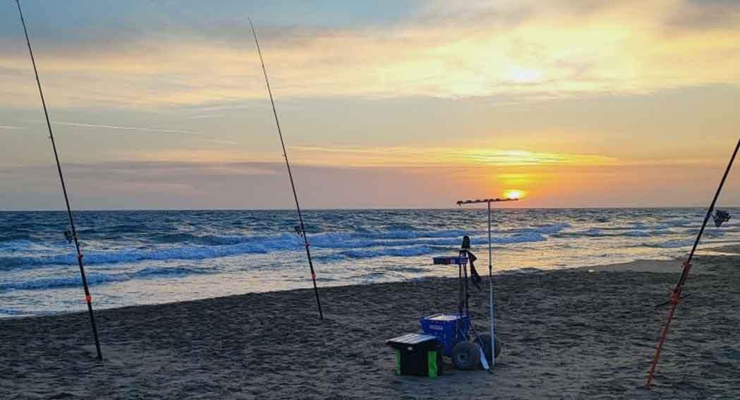 cañas-de-surfcasting