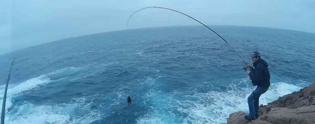 combatir los peces sin partir (técnica pulso)