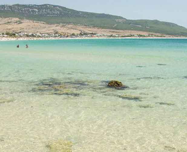 aguas-clasras-y-calma-para-surfcasting