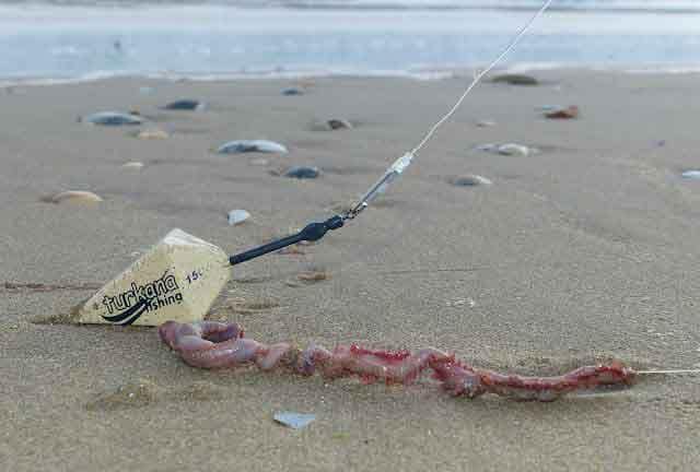 plomos-para-surfcasting