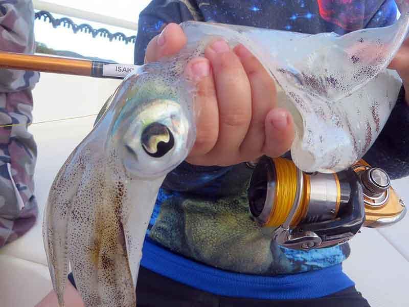 gran-calamar-pescado-al-eging