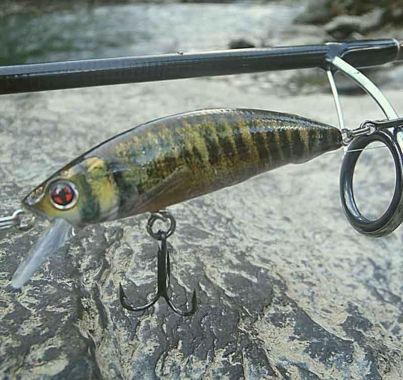 Minnows--para-la-lubina