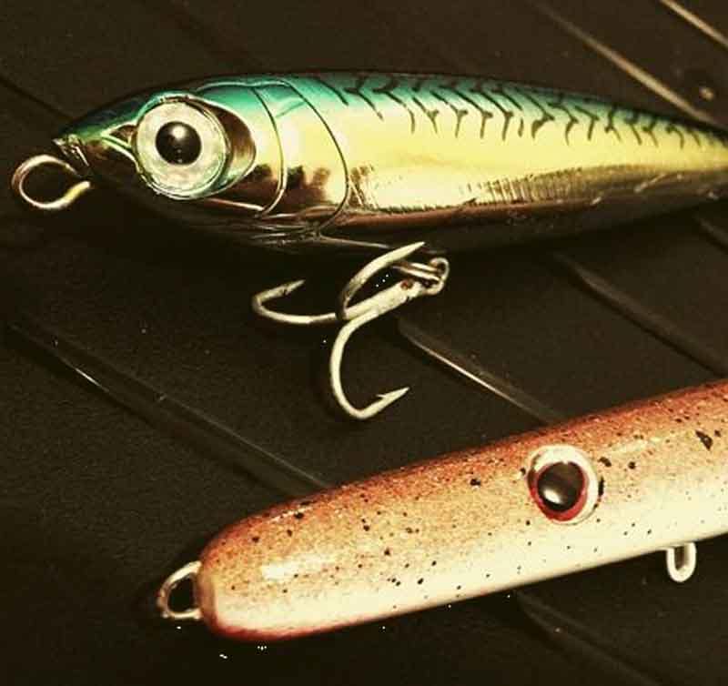 Paseantes-(walking-the-dog)