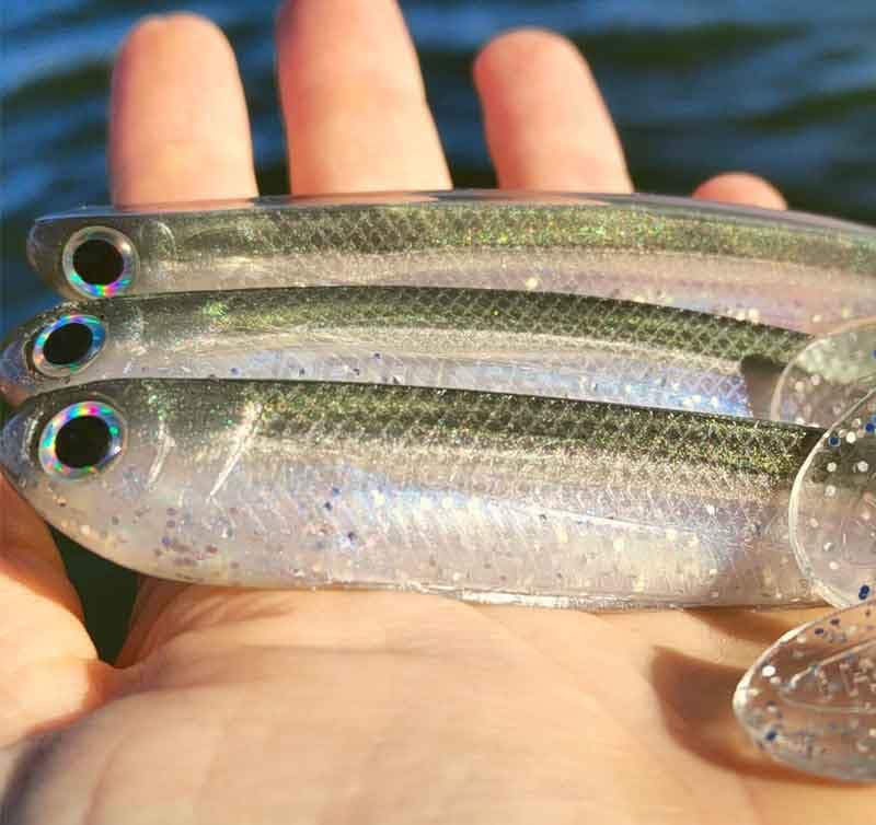 Shads-para-la-pesca-spinning