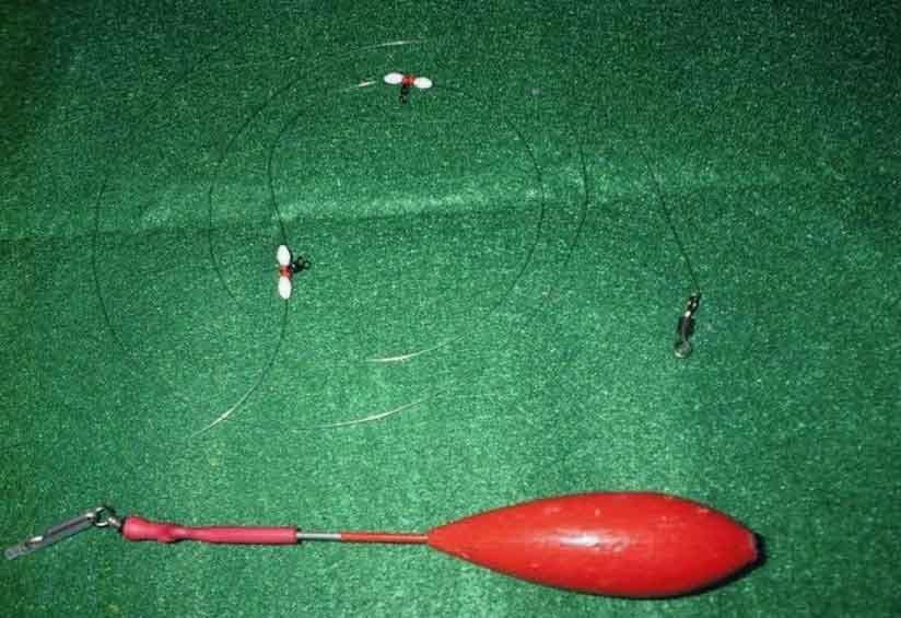 líneas y aparejos finos para la pesca de herrera