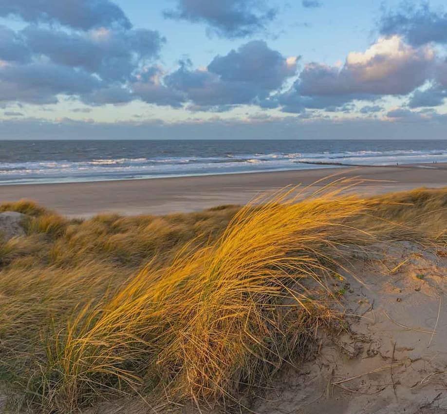 Revisión-meteorológica-detallada-antes-de-pescar-a-spinning
